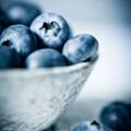 The Blueberry Boom: Capitalizing on the Rising Demand for this Superfood